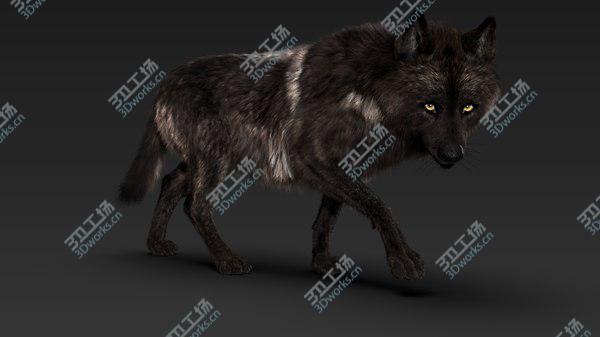 images/goods_img/20210312/Black Timber Wolf (Fur) model/3.jpg